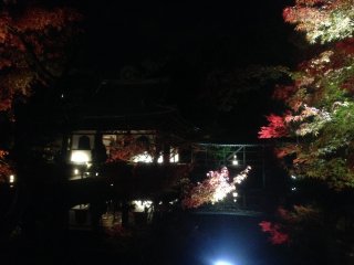 Kuil dan dedaunan musim gugur dinyalakan untuk pemandangan malam